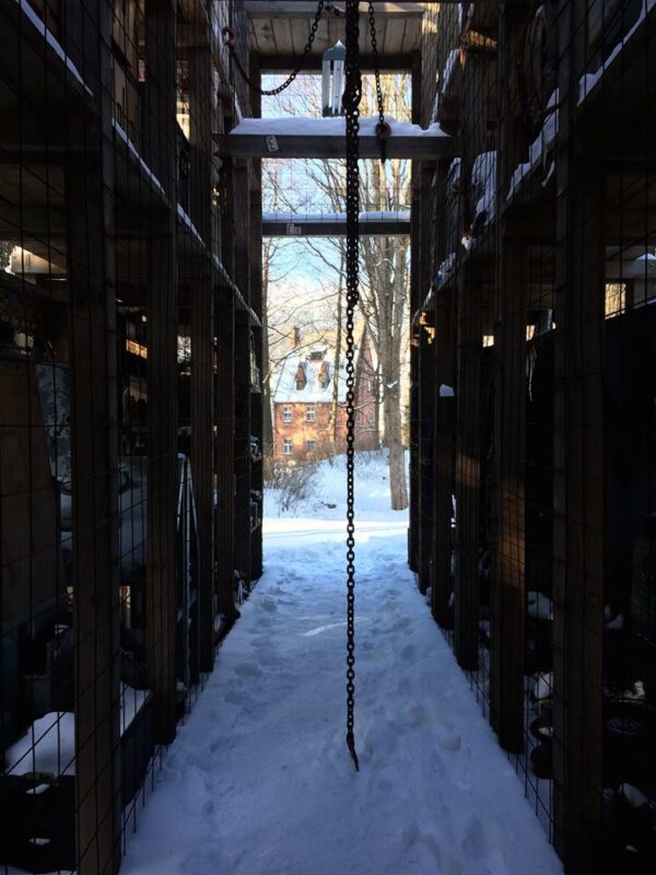 Robert Kuśmirowski - Tężnia Sokołowsko zimą