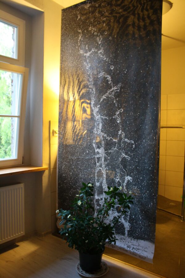 Zygmunt Rytka - Konteksty 2016 Sokołowsko - fot. Shibata Ayano