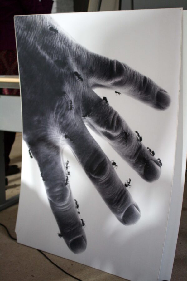 Zygmunt Rytka - Konteksty 2016 Sokołowsko - fot. Shibata Ayano