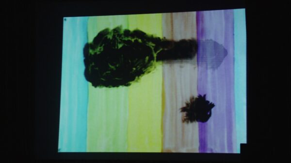 pokaz filmów - Hubert Sielecki - Konteksty 2016, Sokołowsko