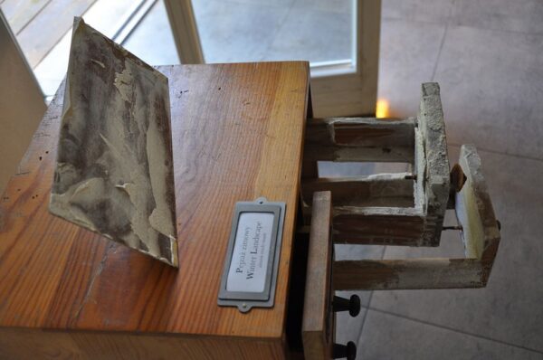 katalog entropii sztuki23