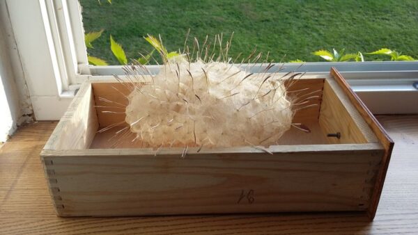 katalog entropii sztuki31