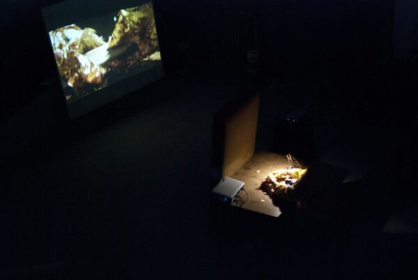 dominik-jalowinski-by-kp