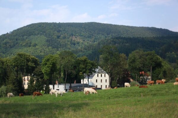 konteskty-2012-sokolowsko-fot-jgrzegorski-56