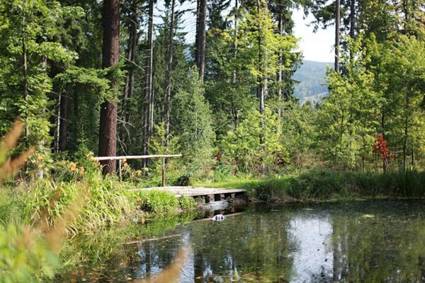 konteskty-2012-sokolowsko-fot-jgrzegorski-59
