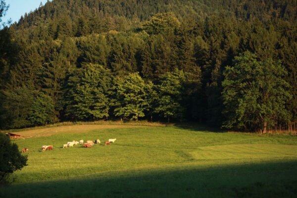 konteskty-2012-sokolowsko-fot-jgrzegorski-78