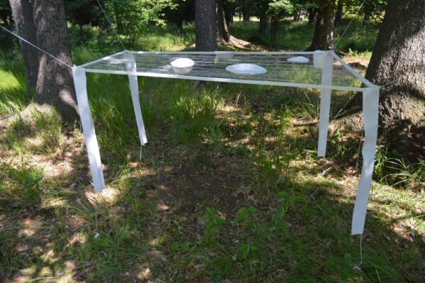 Koji Kamojo, Sokołowsko, Konteksty 2014