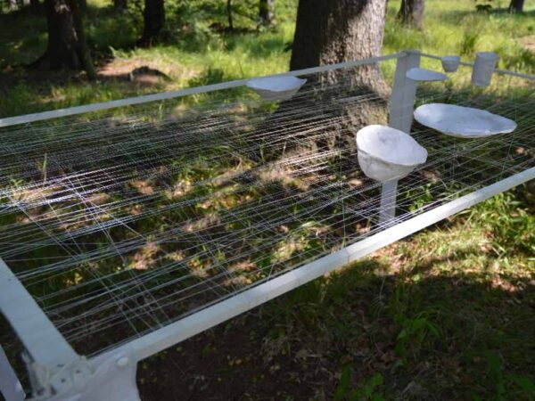 Koji Kamojo, Sokołowsko, Konteksty 2014