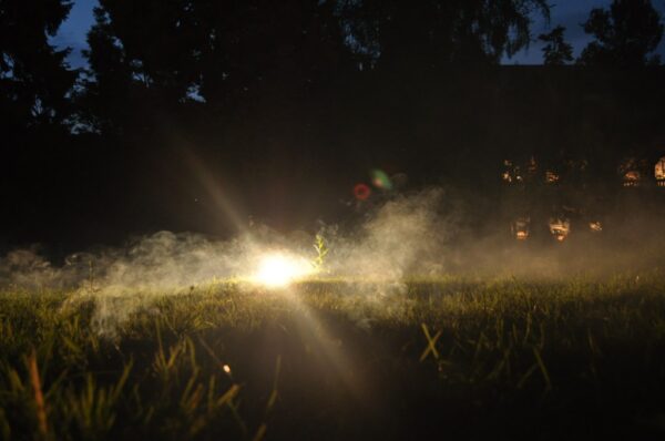 joanna-rajkowska-konteksty-2013-sokolowsko-fot-julia-merska-1