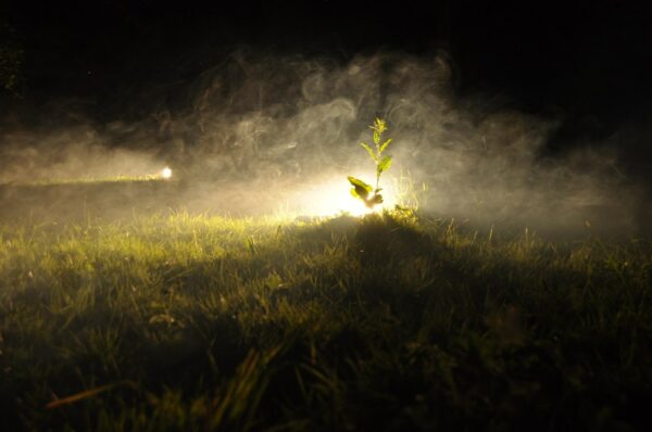 joanna-rajkowska-konteksty-2013-sokolowsko-fot-julia-merska-3