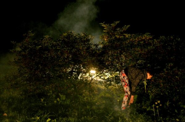 joanna-rajkowska-konteksty-2013-sokolowsko-fot-julia-merska-6