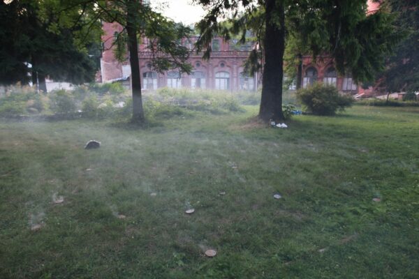 joanna-rajkowska-konteksty-2013-sokolowsko-fot-marcin-polak-jerzy-grzegorski-3