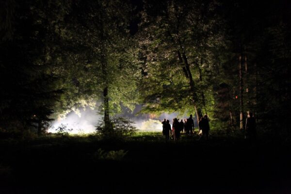 joanna-rajkowska-konteksty-2013-sokolowsko-fot-marcin-polak-jerzy-grzegorski