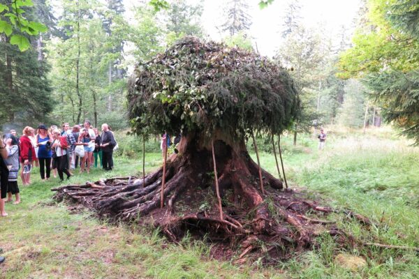 robert_alda_nol_konteksty_2014_contexts_fot_polak_grzegorski24