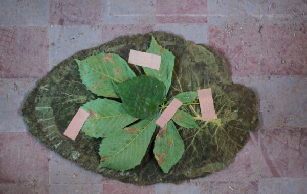 John Newling_fot_Polak_Grzegorski (5)