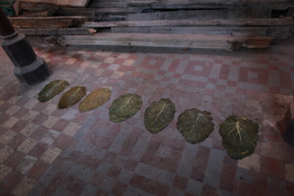 John Newling_fot_Polak_Grzegorski