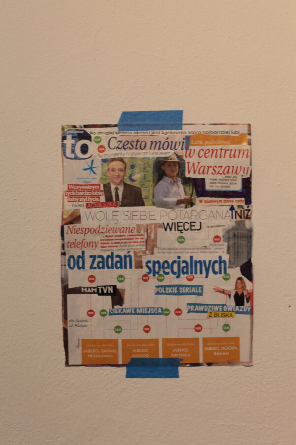 Agnieszka Zalotyńska, Installation In Situ, Konteksty 2017, Sokołowsko, fot. Polak Grzegorski (56)