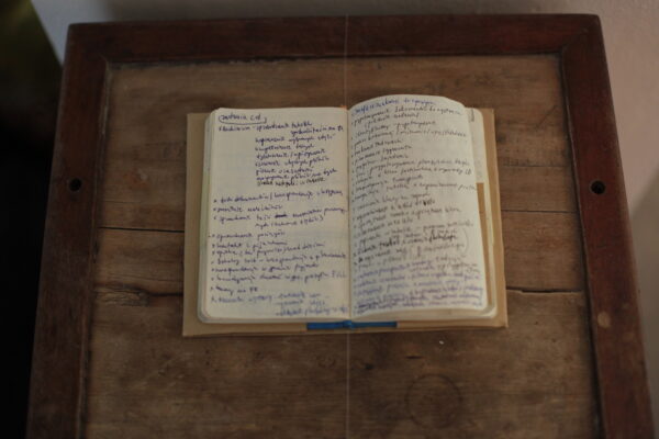 Agnieszka Zalotyńska, Installation In Situ, Konteksty 2017, Sokołowsko, fot. Polak Grzegorski (62)