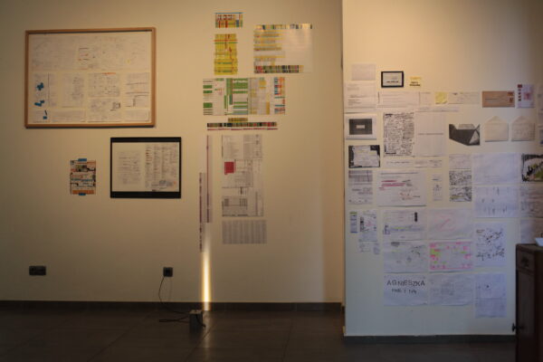 Agnieszka Zalotyńska, Installation In Situ, Konteksty 2017, Sokołowsko, fot. Polak Grzegorski (73)