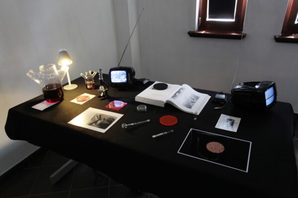 Katy Connor, Installation Blood Culture, Konteksty 2017, Sokołowsko, fot. Polak Grzegorski (11)