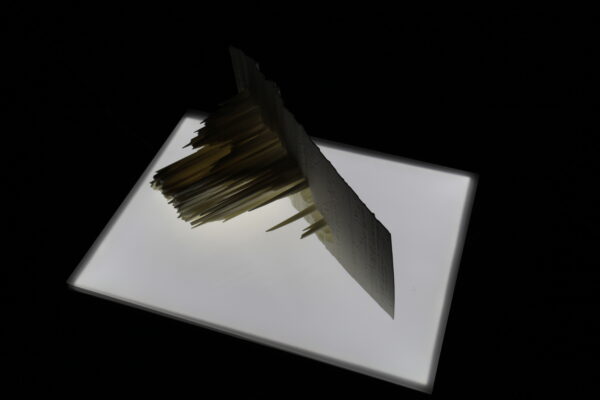 Katy Connor, Installation Blood Culture, Konteksty 2017, Sokołowsko, fot. Polak Grzegorski (17)