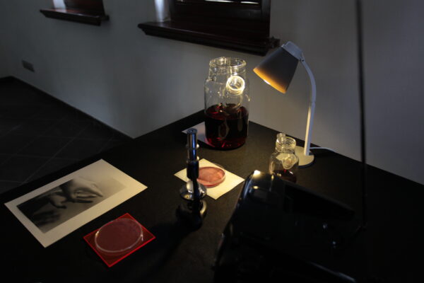 Katy Connor, Installation Blood Culture, Konteksty 2017, Sokołowsko, fot. Polak Grzegorski (21)