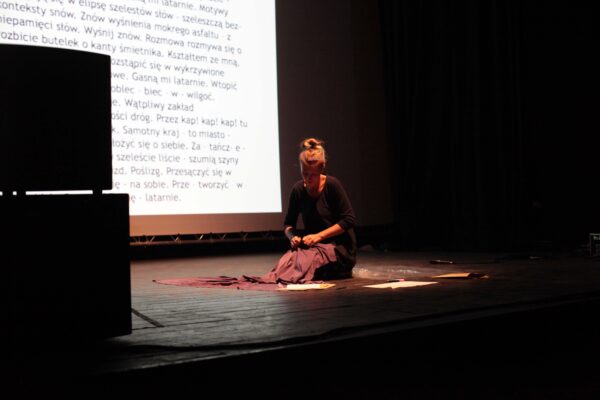 Platforma Otwarta, Konteksty 2017, Sokołowsko, fot. Polak Grzegorski (679)