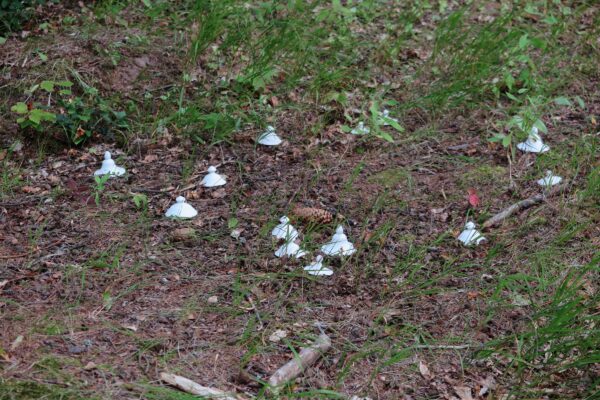 Konteksty_Helena Hafemann FOTO Jerzy Grzegorski14_web