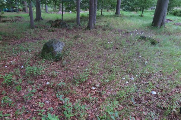 Konteksty_Helena Hafemann FOTO Jerzy Grzegorski16_web