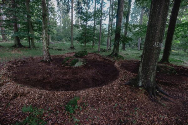 Konteksty_Pieśń serca FOTO Dominik Morgaś1_web