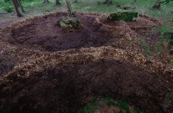 Konteksty_Pieśń serca FOTO Dominik Morgaś2_web