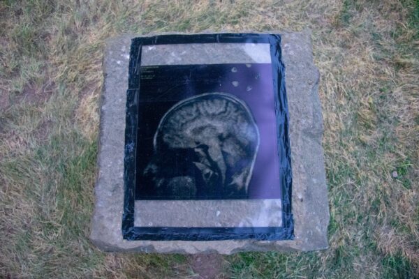 Calum Eccleston 26 lipca 2019r NieuformowanyFOTO Maciej Opara 03_mini