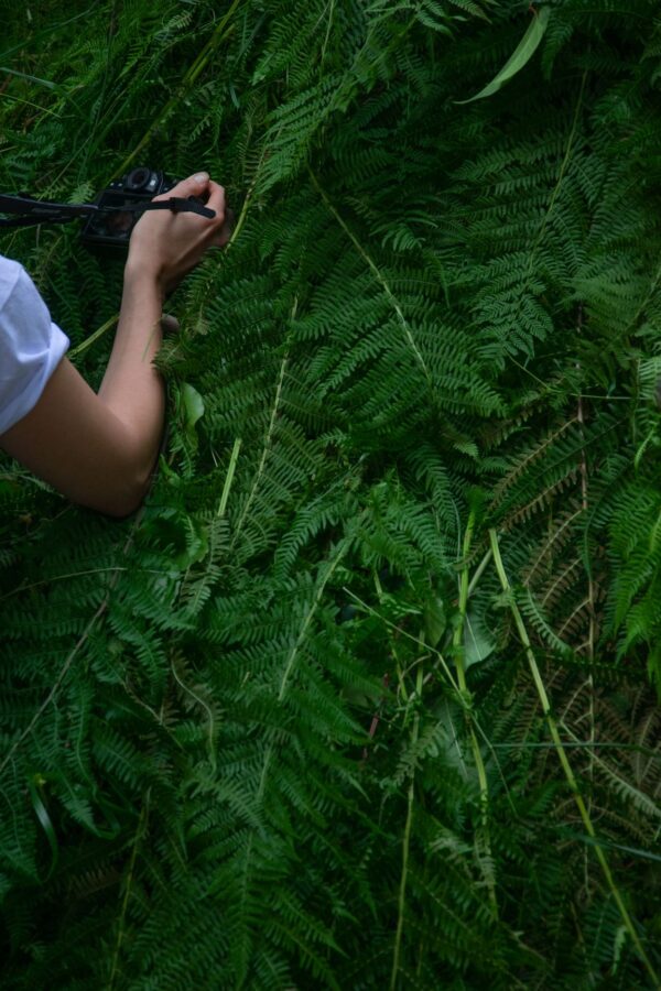 Cyril Lepetit 27 07 2019r Od zmierzchu do świtu- Narcyz FOTO Maciej Opara 26_mini