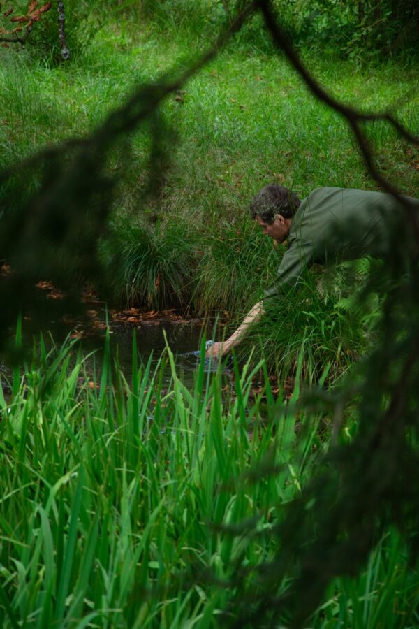 Cyril Lepetit 27 07 2019r Od zmierzchu do świtu- Narcyz FOTO Maciej Opara 28_mini