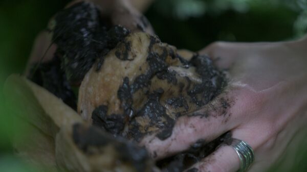 Cyril Lepetit Od zmierzchu do świtu Narcyz 27 lipiec 2019 fot Anna Świerczyńska(11)_mini