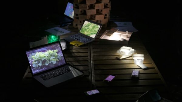 Cyril Lepetit Zielone częstotliwości 28 lipca 2019 fot Anna Świerczyńska (3)_mini