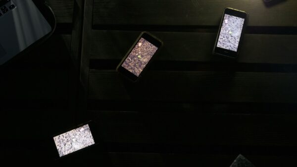 Cyril Lepetit Zielone częstotliwości 28 lipca 2019 fot Anna Świerczyńska (4)_mini