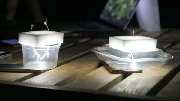 Cyril Lepetit Zielone częstotliwości 28 lipca 2019 fot Anna Świerczyńska (5)_mini