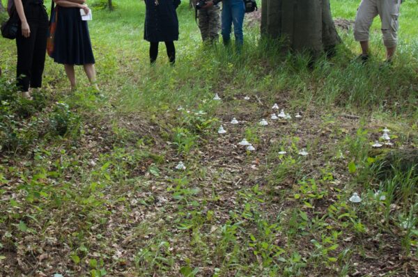 Helena Hafemann - Close relation, 27 lipca 2019 fot Anna Zglenicka (2)_mini