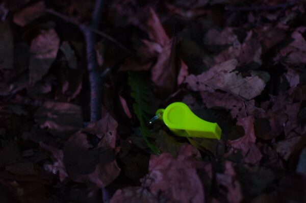 Karolina Kliszewska, Dorota Androsz - LA LA WOMAN STEPS, 27 lipca 2019 fot Anna Zglenicka (9)_mini