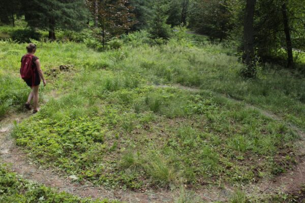 Maria Bitka Wydeptywanie ścieżki27 07 2019 foto Dorota Kozowska 83_mini