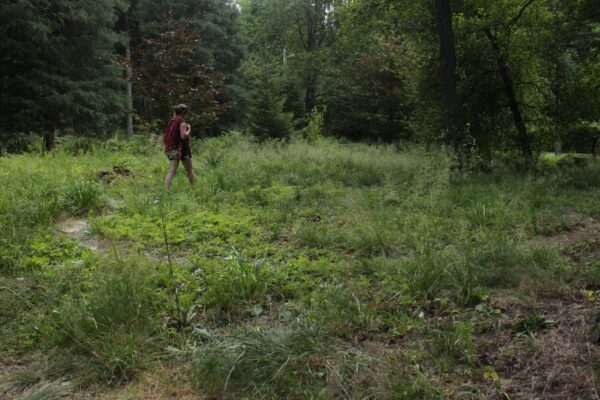Maria Bitka Wydeptywanie ścieżki27 07 2019 foto Dorota Kozowska 86_mini
