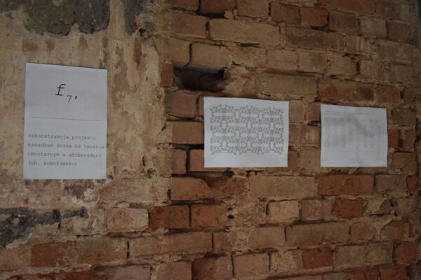 Michał Jakubowicz Rytmiczny performance Flmowo-linijny 27lipca2019 fot Ola Kanoniak (1)_mini