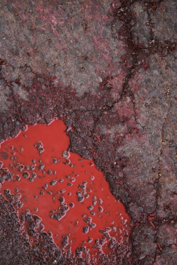 Ola Ignasiak Odszarzanie 27 07 2019 foto Dorota Kozowska 97_mini