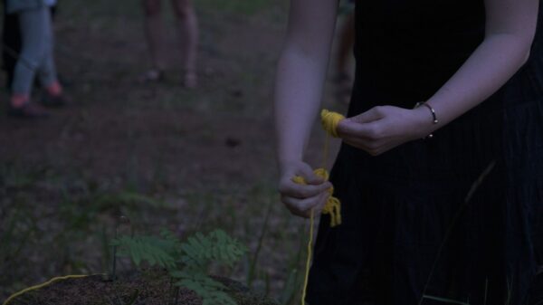 Zakład pogrzebowy drzew 25 lipiec 2019 fot Anna Świerczyńska (4)_mini