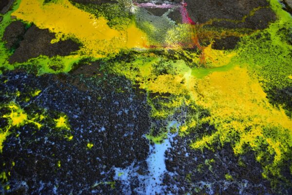 Konteksty_Ola Ignasiak FOTO Kazimierz Ździebło6_web